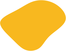 shape 04.png